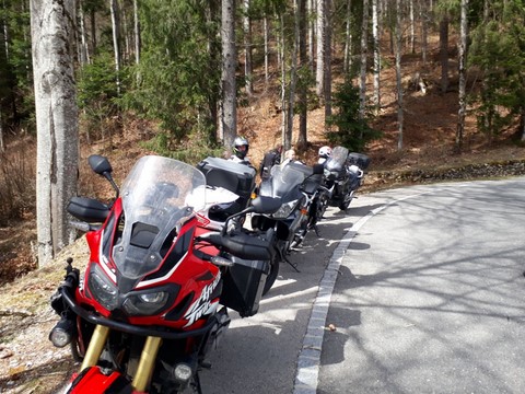Motos de membres