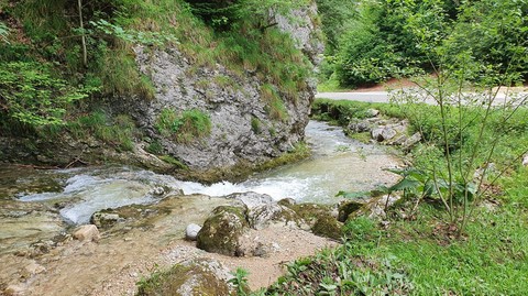 Rivière qui coule